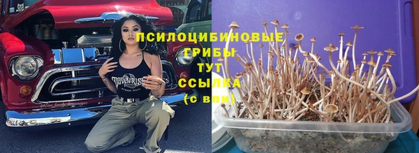 МДПВ Сатка